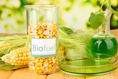 Saline biofuel availability