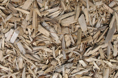 biomass boilers Saline